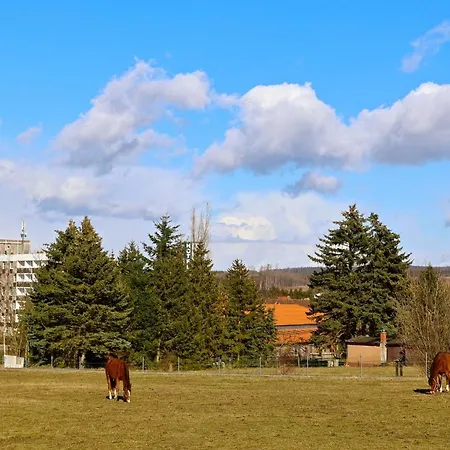 Carea Harz *